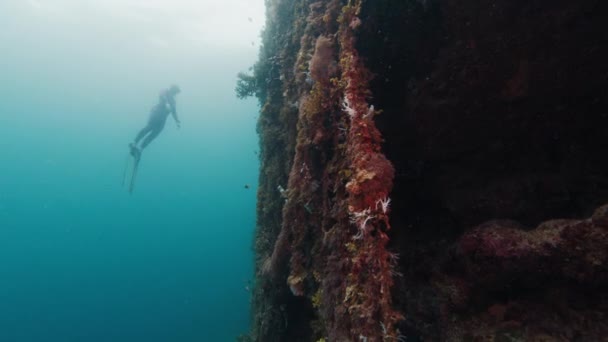 Freediver Glijdt Onder Water Bij Het Koraalrif Raja Ampat Indonesië — Stockvideo