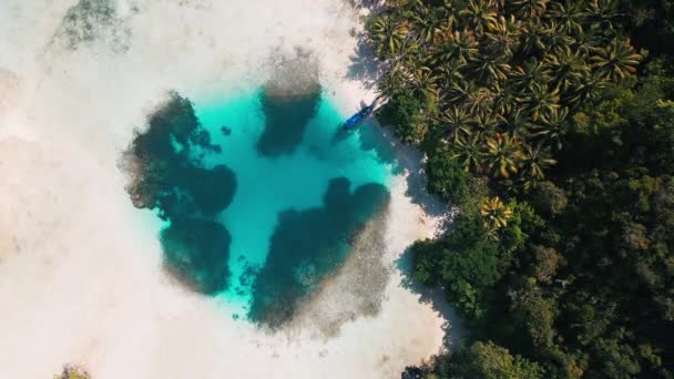海岸にヤシの木の森がある青い水と砂浜が付いている円形の自然なプール インドネシア ラジャ アムパットのミソール地域 — ストック動画