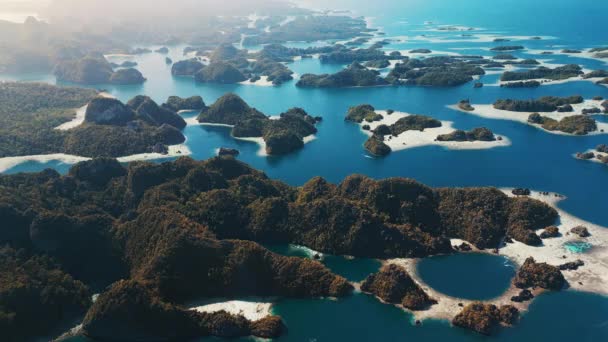 Vue Aérienne Paysage Marin Des Papouas Sud Ouest Avec Beaucoup — Video