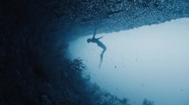 Freediver, Endonezya 'nın Raja Ampat kentindeki eşsiz sualtı manzarasını araştırıyor. Misool bölgesinde serbest dalış yapan kişinin sualtı görüntüsü, Batı Papua