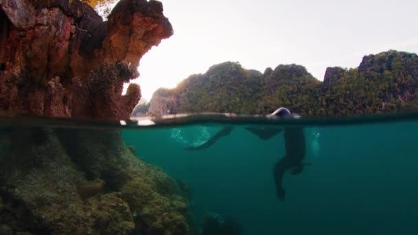 Freediver Nurkuje Pod Wodą Pobliżu Rafy Koralowej Raja Ampat Indonezji — Wideo stockowe