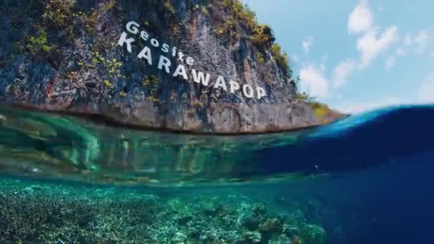 Coral Reef Mountain Raja Ampat Indonesia Splitted Underwater View Vivid — Stock Video