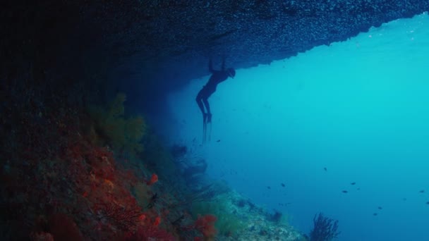 Freediver Bada Unikalny Podwodny Krajobraz Raja Ampat Indonezja Podwodny Widok — Wideo stockowe