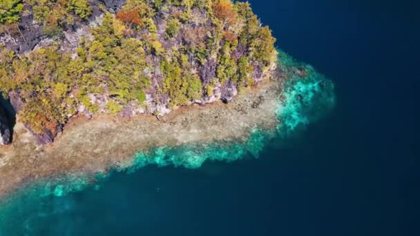 Vista Aérea Del Suroeste Papúa Arrecifes Coral Cerca Isla Región — Vídeos de Stock