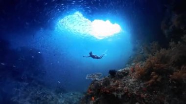 Freediver, mercan resifi boyunca bir sürü küçük balıkla birlikte suyun altında yüzüyor.