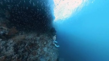 Freediver, mercan resifi boyunca bir sürü küçük balıkla birlikte suyun altında yüzüyor.