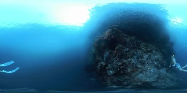 Sferyczny Obraz 360 Stopni Człowieka Freediver Pływającego Wzdłuż Rafy Koralowej — Wideo stockowe