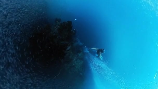 Freediver Úszik Víz Alatt Korallzátony Mentén Sok Apró Hallal — Stock videók