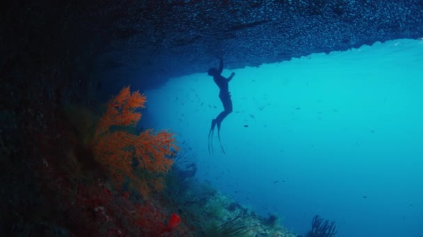 Freediver Explores Unique Underwater Landscape Raja Ampat Indonesia Underwater View — Stock Video