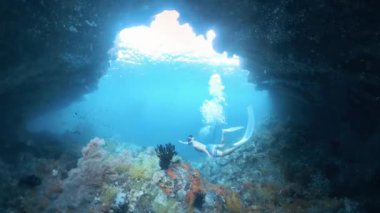 Freediver, mercan resifi boyunca bir sürü küçük balıkla birlikte suyun altında yüzüyor.