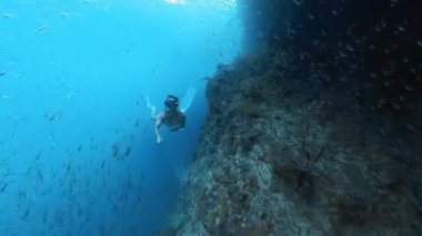 Freediver, mercan resifi boyunca bir sürü küçük balıkla birlikte suyun altında yüzüyor.