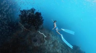 Freediver, mercan resifi boyunca bir sürü küçük balıkla birlikte suyun altında yüzüyor.
