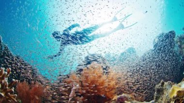 Freediver, Endonezya 'nın Raja Ampat kentindeki mercan resifi yakınlarında suyun altında süzülür. Batı Papua, Endonezya 'daki çeşitli mercan resiflerini araştıran kişinin sualtı görüntüsü