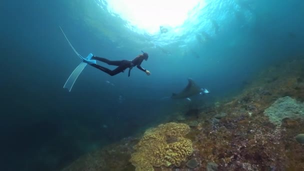 Bali Indonesia December 2023 Penyelam Bebas Wanita Berenang Dengan Manta — Stok Video