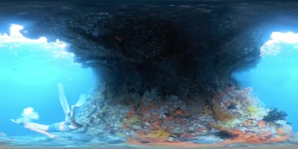 魚の多いサンゴ礁に沿って泳ぐ男の球形Vr 360度の映像 — ストック動画
