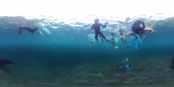Imágenes Esféricas 360 Grados Del Hombre Libre Nadando Bajo Agua — Vídeos de Stock