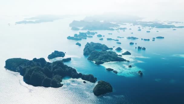 インドネシア ラジャ アムパット 西パプアのミソール島付近の島群の航空写真 — ストック動画