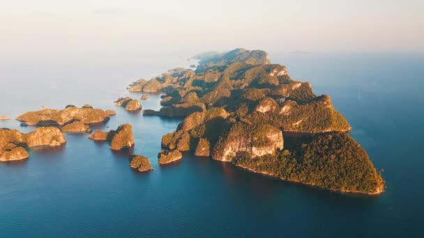Raja Ampat 印度尼西亚 西巴布亚Misool岛附近的一组岛屿的空中景观 — 图库视频影像