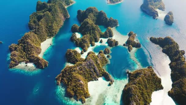 Raja Ampat Ινδονησία Αεροφωτογραφία Της Ομάδας Νησιών Κοντά Στο Νησί — Αρχείο Βίντεο