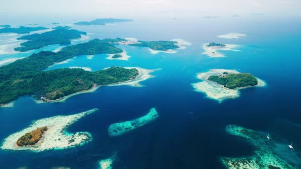 Θαλάσσιο Τοπίο Του Raja Ampat Ινδονησία Αεροφωτογραφία Της Περιοχής Του — Αρχείο Βίντεο