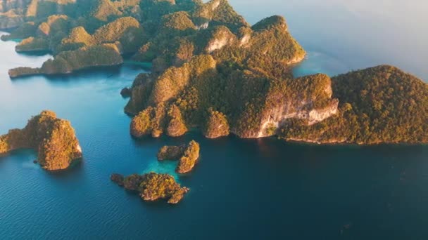 Raja Ampat Ινδονησία Αεροφωτογραφία Της Ομάδας Νησιών Κοντά Στο Νησί — Αρχείο Βίντεο