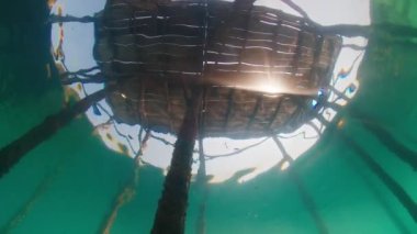 Batı Papua, Raja Ampat, Endonezya 'daki ahşap iskelenin sualtı görüntüsü