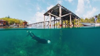 Freediver su altında yüzüyor ve Batı Papua, Raja Ampat, Endonezya 'daki ahşap iskelenin yakınındaki sualtı dünyasını keşfediyor.