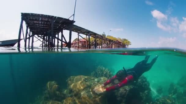 Freediver Nada Debaixo Água Explora Mundo Subaquático Perto Cais Madeira — Vídeo de Stock