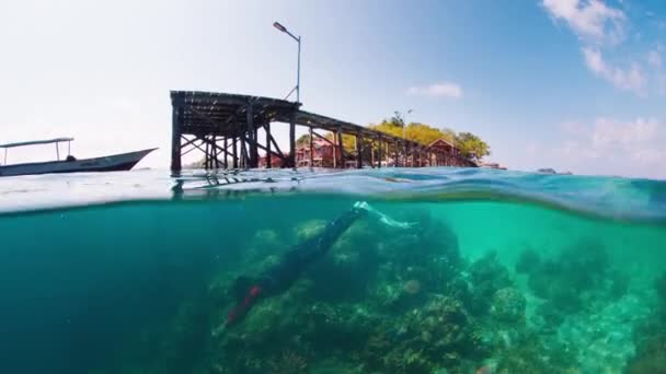 Freediver Altında Yüzüyor Batı Papua Raja Ampat Endonezya Daki Ahşap — Stok video