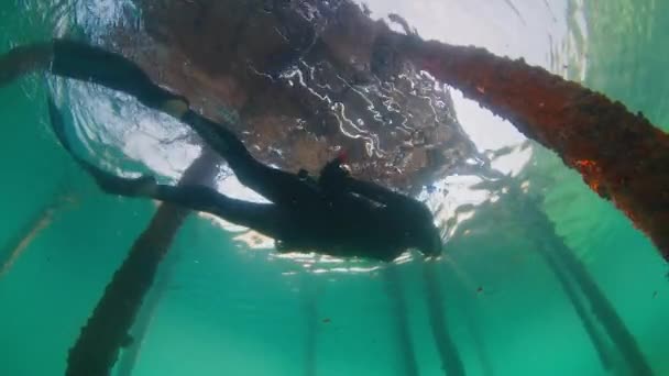Freediver Úszik Víz Alatt Feltárja Víz Alatti Világ Közelében Móló — Stock videók