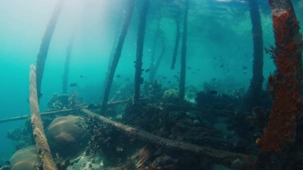 Vista Submarina Del Muelle Madera Papúa Occidental Raja Ampat Indonesia — Vídeo de stock