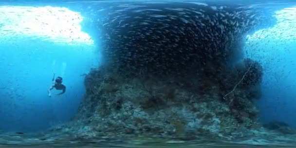 Imágenes Esféricas 360 Grados Del Hombre Libre Nadando Largo Del — Vídeos de Stock