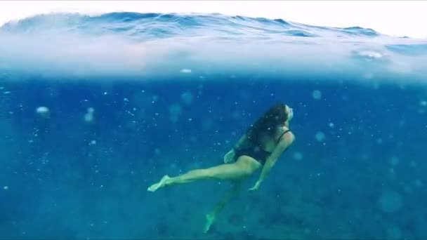 若いフィットスリム女性はサンゴ礁の上に水中で泳ぐ — ストック動画