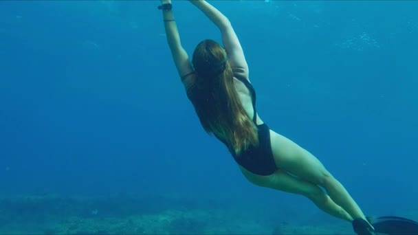 Jonge Fit Slanke Vrouw Zwemt Onder Water Het Koraalrif — Stockvideo