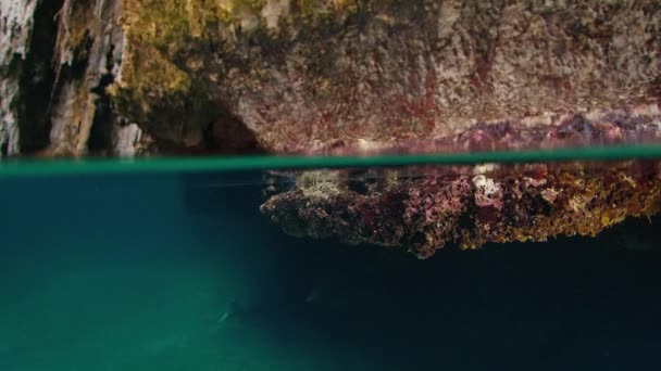 Фридайвер Плавает Пещере Факелом — стоковое видео