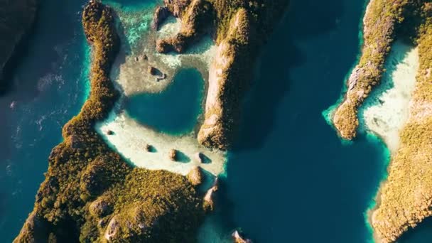 インドネシアのラジャ アムパット地域のハート型湖 インドネシア ミソール島付近の海底景観 — ストック動画