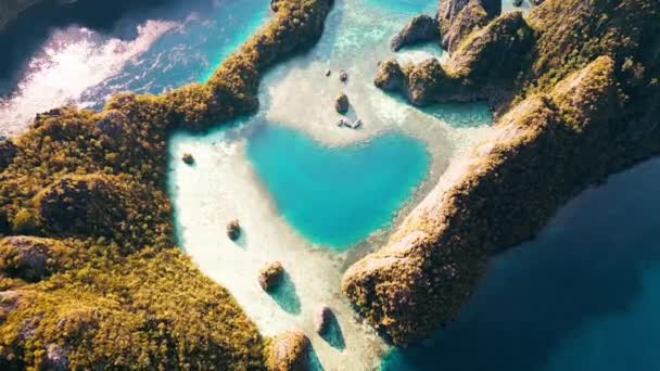Καρδιά Σχήμα Λίμνη Στην Περιοχή Raja Ampat Στην Ινδονησία Αεροφωτογραφία — Αρχείο Βίντεο