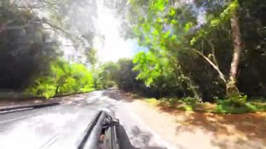 Araba mükemmel manzaralı bir yolda gidiyor. Ağaçlarla kaplı araba yolda ilerliyor.
