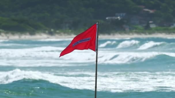 Red Swim Flag Beach Brazil — Stock Video