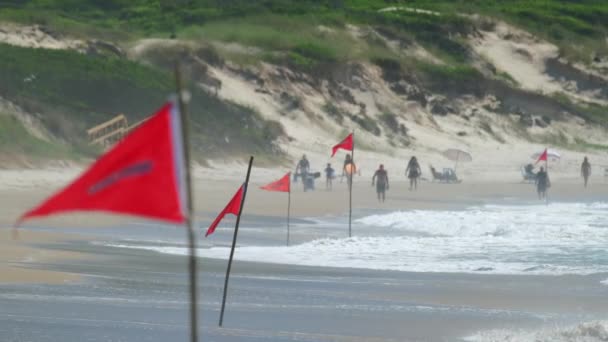 Röd Inga Badflaggor Stranden Brasilien — Stockvideo