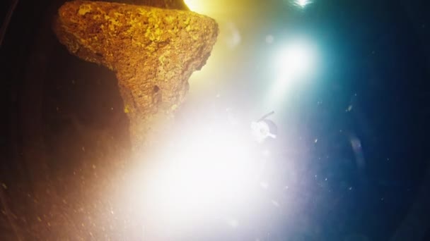 Ελεύθερη Κατάδυση Σπηλιά Freediver Κολυμπά Κάτω Από Νερό Και Εξερευνά — Αρχείο Βίντεο