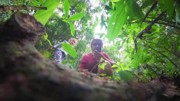 Οικογένεια Εξερευνεί Φύση Άντρας Και Παιδί Παρακολουθούν Μυρμήγκια Στο Δάσος — Αρχείο Βίντεο