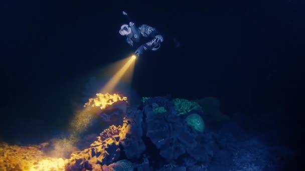Ночное Фридайвинг Фридайвер Плавает Факелом Исследует Коралловый Риф Сияющий Зеленой — стоковое видео
