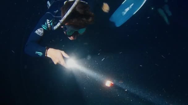 Ніч Вільна Freediver Пірнає Факелом Вночі Досліджує Нічну Істоту Океані — стокове відео