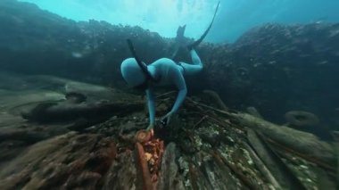 Freediver denizde yüzüyor ve gemi enkazının kalıntılarını keşfediyor.