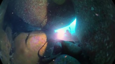 Freediver denizin altında yüzüyor ve meşaleyle mağarayı keşfediyor.