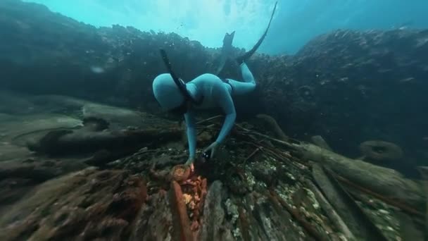 フリーダイバーは海中で水中を泳ぎ 難破船の残骸を探検する — ストック動画