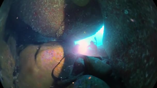 フリーダイバーは海で水中で泳ぎ 洞窟をトーチで探索する — ストック動画