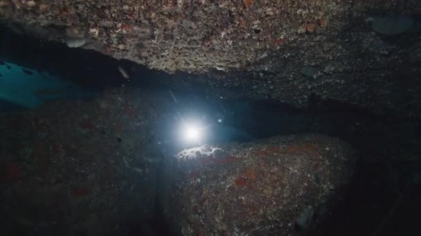Freediver Swims Underwater Sea Explores Cave Torch — Stock Video