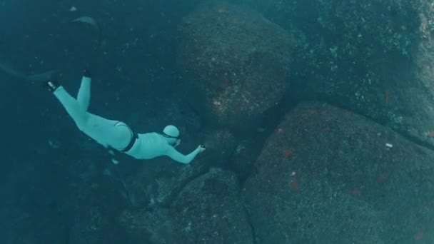 Freediver Nada Debaixo Água Mar Desaparece Entre Rochas Caverna Homem — Vídeo de Stock